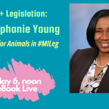 Lunch + Legislation: Rep. Stephanie Young, Including Animals in Sentencing Guidelines