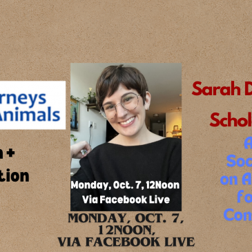 Lunch + Legislation: Sarah D’Onofrio, PhD, Scholar Activist