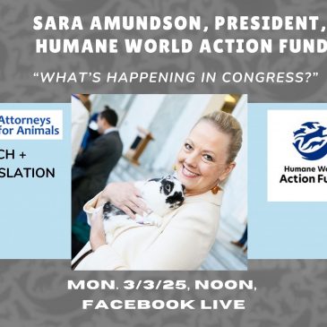 Sara Amundson, Humane World Action Fund, Lunch + Legislation: “What’s Happening in Congress?”